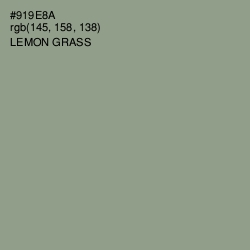 #919E8A - Lemon Grass Color Image
